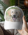 Adorable Puppy Caps : The Cutest Headwear for Dog Lovers .